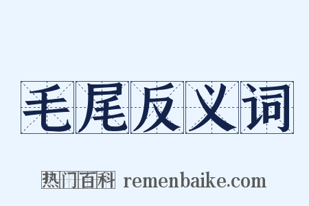 毛尾反义词是什么意思的图片